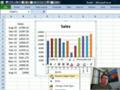 Learn Excel 2010 "Month Chart Labels": #1419