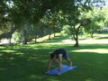 Flow Yoga 1 Preview 1