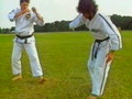 Ju-Jitsu Guide Part 3
