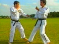 Ju-Jitsu Guide Part 2