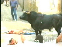 TERRIBLE HAPPENINGS-Bull Fight