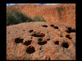 Uluru Walkabout