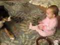 Baby Feeds Gentle Dog Cerial