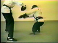 CURIOZITATI - Cimpanzeul karateka