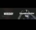 Wireboy teaser