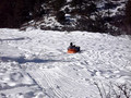 sledding 1