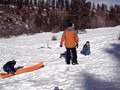 sledding 4