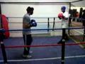 Masood and Jeryan 3 Boxing Sparing UKIM