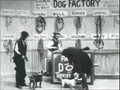 The Dog Factory 