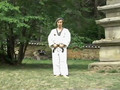 Taekwondo - Goro chagui