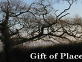 Gift of Place