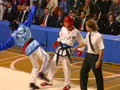 Tae Kwon Do Spectacular Vol 4 Part 1