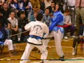 Tae Kwon Do Spectacular Vol 4 Part 5