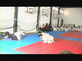 Aikido seminar