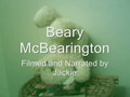 Beary McBearington