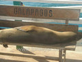 John's slideshow of Daphne Major and departure. Galapagos Islands, Bartolome