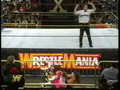Bret Hart vs Owen Hart (WMX)