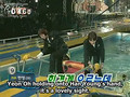 tvxq on super viking ep 6 eng subs