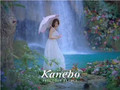 Kanebo CM 1