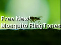 Mosquito Ringtones @ free-mosquito-ringtones.com