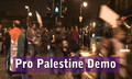 Palestinian Demo Wales