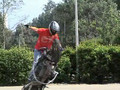 Amazing Moto Stunts II !!!