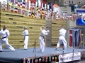 International Food Festival (2006) - Karate