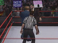 Wrestlemania 23 – Virtual Trump Vs. McMahon