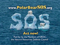 Polar Bear S.O.S.!