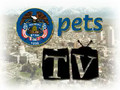 Utah Pets Tv Show 11
