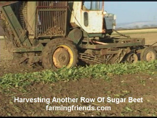 Harvesting Sugar Beet The Final Countdown!.wmv