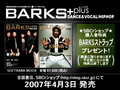 070402 BARKS+plus Spring 2007 Making[heronini].wmv