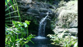 Maui Waterfall Hike