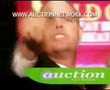 Auctioneers in Action