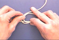 Fishing Knots: 15 The Water Knot