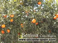 Benissa in Spain