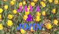 Jaya & John - Engagement Part1