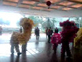Makati lion dance to celebrate Chinese New Year