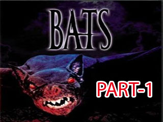 Bats 1