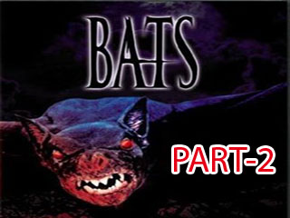 Bats 2