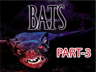 Bats 3