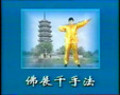 Qigong och Falun Gong Del 2
