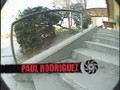 Paul rodriguez in FKD