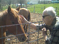Dad Pets a Horse