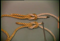 Basic Knots: 10 The Thief's Knot