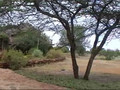 Video Tour of Loisaba Cottage