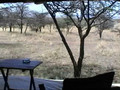 Video Tour of Kicheche Bush Camp