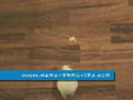 hamster chasing cheese