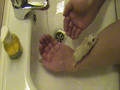hamster taking a bath
