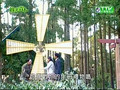 Green Forest My Home EP 11(ENG SUB)